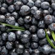 5 REASONS WHY ACAI BERRIES ARE AMAZING ANTIOXIDANTS 1