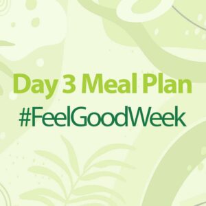 Day 3 Diet Meal Plan #FeelGoodWeek
