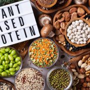 How to choose the Best Plant Based Protein Powder