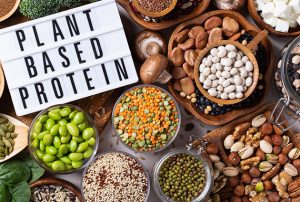 How to choose the Best Plant Based Protein Powder