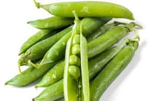 Pea Protein – Review Benefits and Side Effects