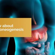 What is Gluconeogenesis