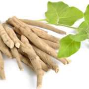 5 Proven Ashwagandha Health Benefits for Men Women