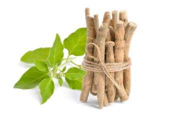 5 Proven Ashwagandha Health Benefits for Men & Women 2 Ashwagandha 1