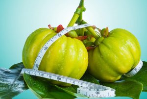 How will Garcinia Cambogia help in burning fat and weight loss
