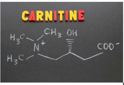 L Carnitine