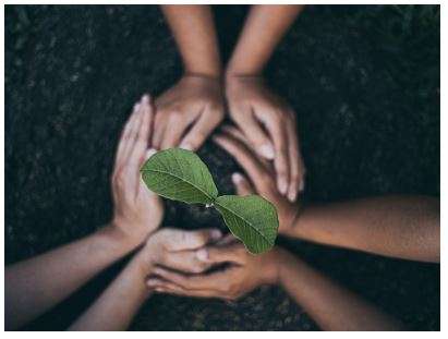 5 ways plant protein will boost your daily life 2 Plant