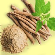 Powerful Ashwagandha Benefits that you need to know