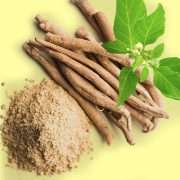 Powerful Ashwagandha Benefits that you need to know