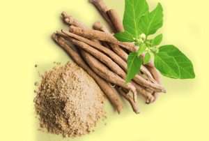 Powerful Ashwagandha Benefits that you need to know