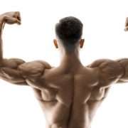 Effective Ways To Bulk Up Without Being Fat 1