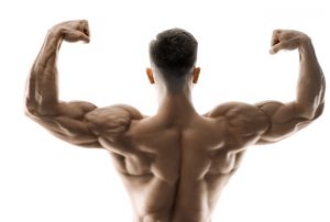 Effective Ways To Bulk Up Without Being Fat