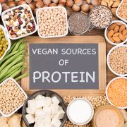 Plant Protein vs Whey Protein Which is better