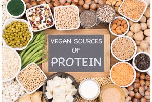 Plant Protein vs Whey Protein: Which is better?