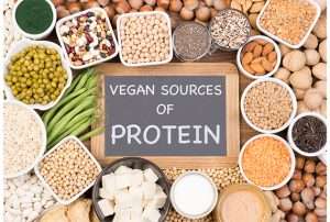 Plant Protein vs Whey Protein Which is better