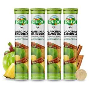 Plix life Garcinia Cambogia Cinnamon Ginger