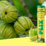 Blog 21 How does garcinia cambogia benefit your health