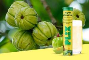 Blog 21 How does garcinia cambogia benefit your health