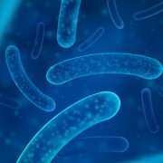 Blog 40 What are probiotics Their uses benefits dosage