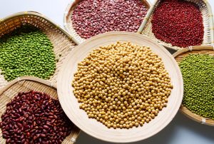 Blog 41 Why Is It So Important to Eat Plant Based Protein 1
