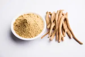 ashwagandha aswaganda indian ginseng is ayurveda medicine stem powder form isolated plain background selective focus 466689 54128 1