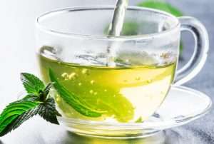 19. Aug 22 Green Tea Weight Loss and Fat Burning Benefits