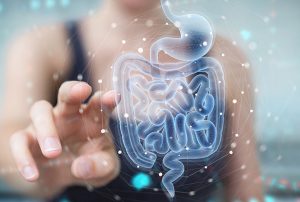 The Complete Guide to Probiotics – Bacteria In Your Gut Make A Big Impact On Your Health