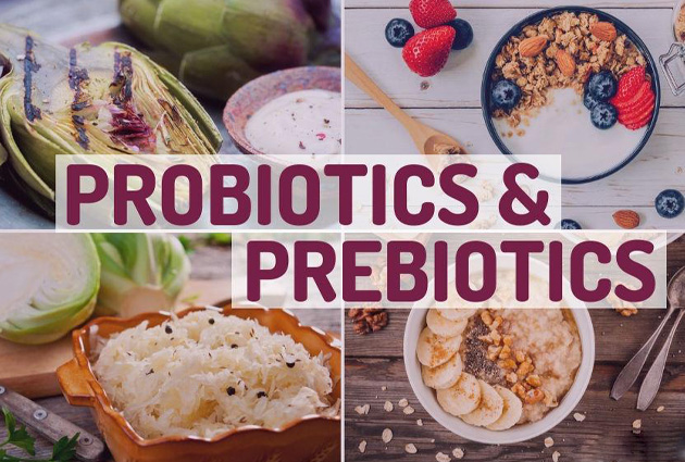 Blog 40 Pre Probiotic The Natural Way to Promote Gut Health