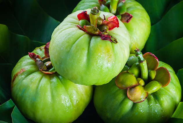 Blog 4 The Truth About Garcinia Extract The Secret To Effective Weight