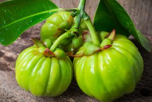 What Is Garcinia Cambogia? Here’s Benefits And Uses Of This Natural Fruit Extract