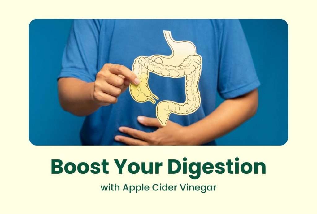 Boost Your Digestion with Apple Cider Vinegar 1 unnamed 2026 02 24T181842.027