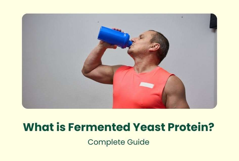 unnamed 2026 02 26T120133.240